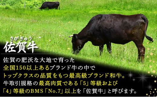 2000g 佐賀牛｢みすじブロック｣ H-177