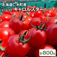 [2026年発送] 北海道 仁木町産 ミニトマト キャロルスター 800g  （32粒～50粒）トマト 野菜  国産 プチトマト 甘み 使いやすい サラダ お弁当 家庭用 子供に人気  リコピン [REDA FARM]