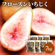 フローズン いちじく7kg（1kg×7袋） 果物詰合せ フルーツ 冷凍 無花果