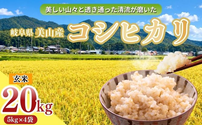 岐阜県美山産コシヒカリ 令和8年産 新米 玄米 20kg| 令和8年 玄米 コシヒカリ こしひかり ヤマガタ農産 ※2026年11月～発送