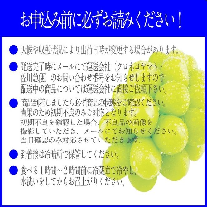 2026年先行予約 プレミアムシャインマスカット晴王 1房約750g 人気 岡山県産 赤秀品 種無し 皮ごと食べる みずみずしい フレッシュ 晴れの国 おかやま 果物大国 ハレノフルーツ