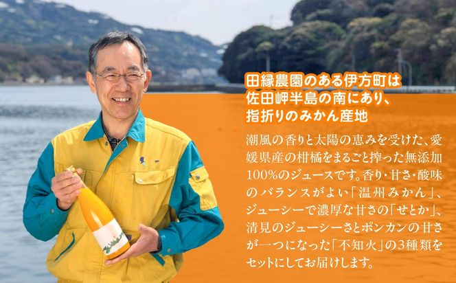 【愛媛県産】田縁農園の無添加100%ジュース 3本セット（720ml×3本/みかん1、せとか1、不知火1） ストレート果汁100％ IKTA007
