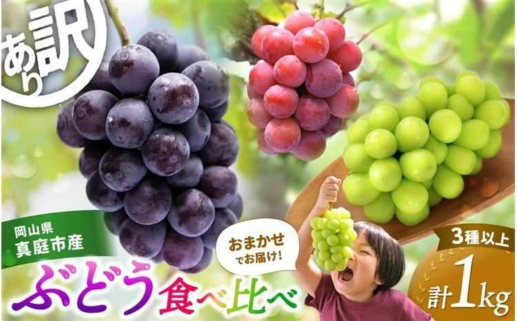 シャインマスカット ピオーネ [2026年の先行予約!] 訳あり ぶどう 花笑み農園おまかせ3種以上(約1kg) / ぶどう 詰め合わせ 食べ比べ シャインマスカット ピオーネ クイーンニーナ オーロラブラック 瀬戸ジャイアンツ 翠峰 BKシードレス マスカサーティーン マスカットノワール 雄宝 マイハート 岡山 真庭市 [hana018-02]
