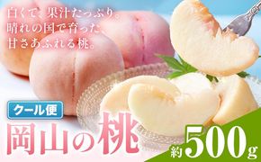 【2027年発送先行予約】岡山の桃 約500g《2027年6月下旬～9月上旬頃出荷》岡山県 笠岡市 白桃 岡山 はくとう スイーツ フルーツ 果物 デザート 旬 モモ もも 送料無料 果物 清水白桃 白鳳 白麗 クール便---kasaoka_zsy_417_050a--