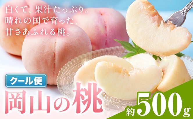 【2027年発送先行予約】岡山の桃 約500g《2027年6月下旬～9月上旬頃出荷》岡山県 笠岡市 白桃 岡山 はくとう スイーツ フルーツ 果物 デザート 旬 モモ もも 送料無料 果物 清水白桃 白鳳 白麗 クール便---kasaoka_zsy_417_050a--