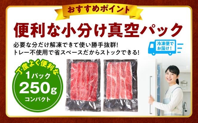 【訳あり】くまもと黒毛和牛 切り落とし 合計1.5kg (250g×6パック) 牛肉 肉 和牛 黒毛和牛 ブランド牛 牛丼 肉じゃが  国産 訳あり 小分け 熊本県 八代市