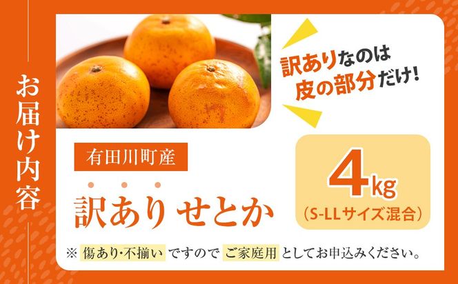 せとか みかんの大トロ 4kg 訳あり ブランド 和歌山 有田みかん 農家直送 オレンジ フルーツ 果物 CE044