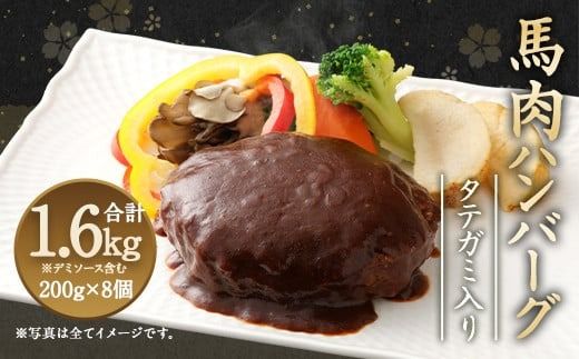 タテガミ 入り 馬肉 ハンバーグ (デミソース含む) 200g×8個