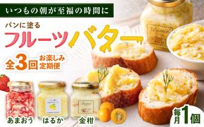 【全3回定期便】お楽しみ定期便 フルーツバター大1個 糸島市 / 糸島正キ ジャム クリーム 果物[AQA062] バター フルーツバター フルーツ 果物 いちご あまおう みかん 金柑