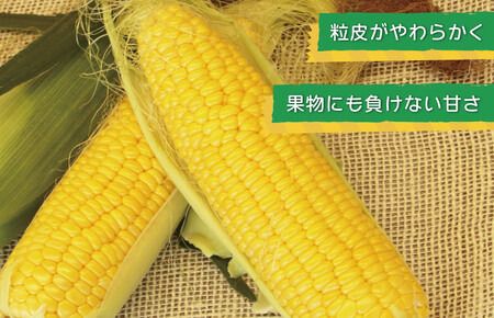010B140 【先行予約】ゴールドラッシュ 14本【新鮮 野菜 泉佐野産 とうもろこし コーン やさい TONOファーム 数量限定】
