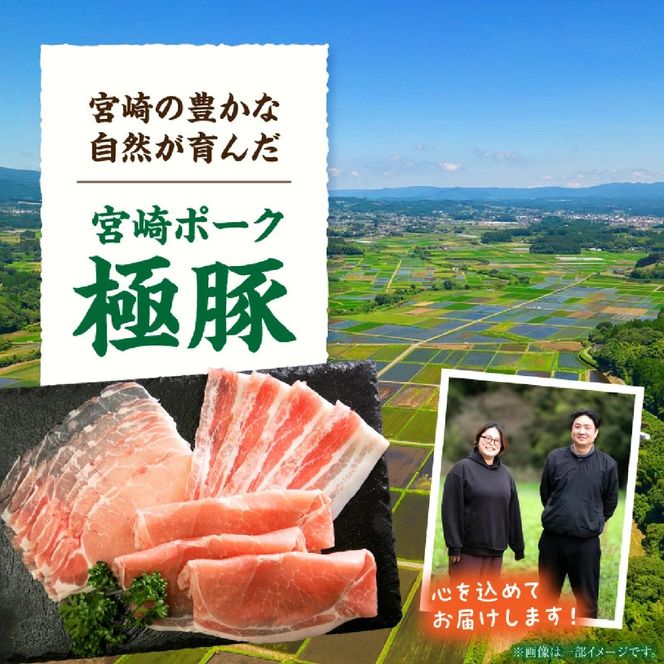 【産地直送・定期便】ひなた宮崎極豚上しゃぶしゃぶ食べ比べ 12回コース（豚肉 豚 豚バラ バラ モモ ロース しゃぶしゃぶ用 宮崎県）