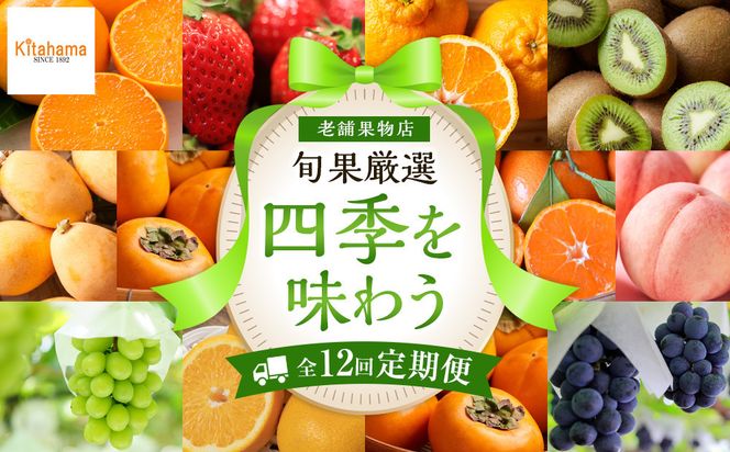 【定期便全12回】旬果厳選！四季を味わう単品定期便♪ 372013_GM024