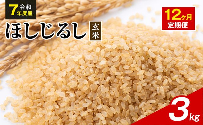 令和7年度産 ほしじるし 3kg 玄米 12ヶ月定期便 米 静岡県 袋井市【離島配送不可】
