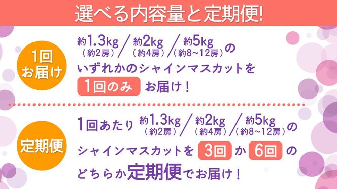 ＼選べる内容量・発送方法／ シャインマスカット 約1.3kg ～ 5kg （約2房～12房）単品（1回）・定期便（3回・6回）　　【定期2026年8月、単品9月より発送開始】（茨城県共通返礼品 [ぶどう]：結城市産） 葡萄 マスカット 旬 お取り寄せ フルーツ 種なし 皮ごと 甘い デザート