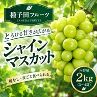 【2026年発送】シャインマスカット 2kg（3～4房）（ぶどう シャインマスカット 葡萄 マスカット 種なし 皮ごと 大粒 厳選)