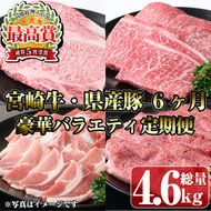 【定期便・全6回(連続)】宮崎牛・県産豚豪華バラエティ定期便 お肉 豚肉 牛肉 黒毛和牛 ブランド和牛 冷凍 国産 しゃぶしゃぶ すき焼き 焼肉 BBQ ロース ウデ モモ 赤身 食べ比べ 【R-99】【ミヤチク】