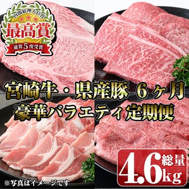 【定期便・全6回(連続)】宮崎牛・県産豚豪華バラエティ定期便 お肉 豚肉 牛肉 黒毛和牛 ブランド和牛 冷凍 国産 しゃぶしゃぶ すき焼き 焼肉 BBQ ロース ウデ モモ 赤身 食べ比べ 【R-99】【ミヤチク】