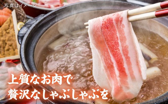 【全3回定期便】糸島産豚肉 ロース 肉 スライス しゃぶしゃぶ 用 600g 糸島市 / 糸島ミートデリ工房 [ACA326]