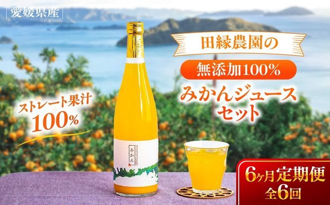 【6ヶ月定期便】田縁農園 みかんジュースセット 全6回 IKTA053
