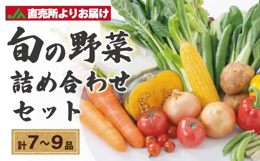 むなかた旬のお任せセット(野菜) 7～9品【JAほたるの里】_HA1569