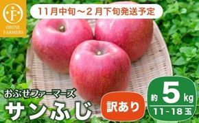 【訳あり】 サンふじ 約5kg 11～18玉［おぶせファーマーズ］  不揃い 規格外 家庭用 りんご 林檎 リンゴ 果物 フルーツ ふじ 長野 信州 数量限定 令和7年産 【2025年11月中旬～2026年2月下旬発送】［F-24］
