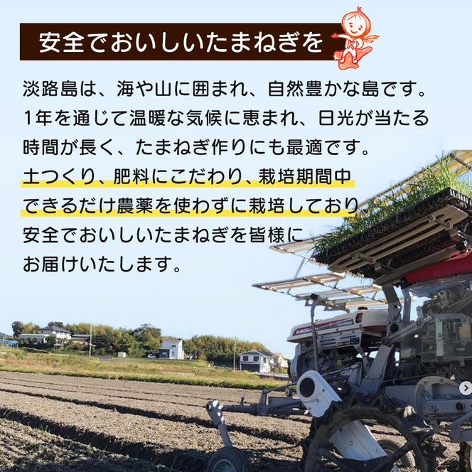 【新玉ねぎ】淡路島たまねぎ 歩-AYUMU- 5kg【発送時期：2026年3月～5月頃】玉ねぎ