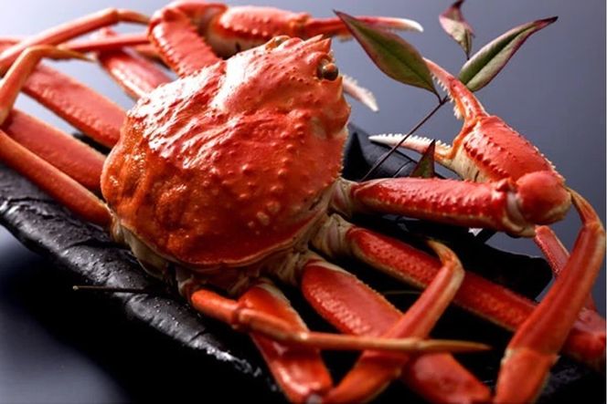 【厳選】茹で松葉蟹 8L(1300g前後)×2杯　★1月～2月お届け　OD00161_01