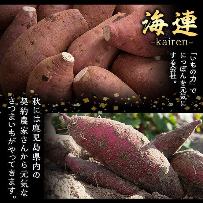 鹿児島本格芋焼酎「伊七郎」黒瀬安光作(1.8L×3本)国産 芋焼酎 いも焼酎 お酒 一升瓶 セット 限定焼酎 アルコール 常温保存【海連】akn016-10