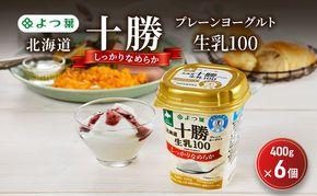 よつ葉 「北海道十勝プレーンヨーグルト 生乳100 しっかりなめらか」400g×6【 よつ葉 北海道十勝プレーンヨーグルト 生乳100％ タンパク質 菌 効果 腸活 レシピ 食べ方 アレンジ 水切り はちみつ 違い やわらか 北海道 十勝 幕別 】