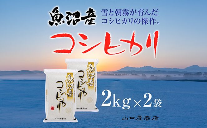 「厳選☆十日町育ち」魚沼産コシヒカリ 2kg×2袋 お米 米 コメ 