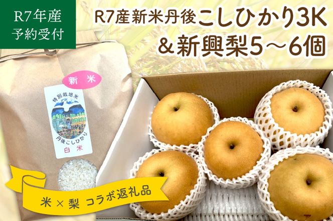 【予約受付】特別栽培米丹後こしひかり3kg＆新興梨5～6個（2025年10月中旬～発送）　KU00055