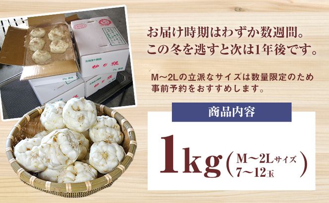 2026年10月発送 先行予約 十勝「忠類ゆり根」1kg (7～12玉) M～2L［JA忠類］【 ゆり根 百合根 高級食材 お正月 贈答 ギフト 根菜 冬の味覚 北海道 幕別 】