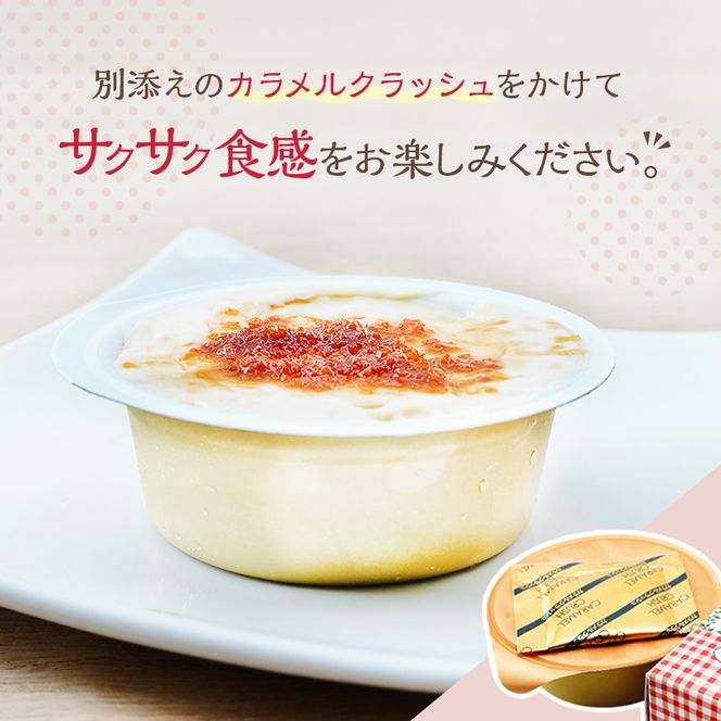 先行予約 とら豆ブリュレ 6個 菓子 プリン お菓子 ゴロゴロ 食べ応え ヘルシー 味変 おすすめ 可愛い 風景 パッケージ 