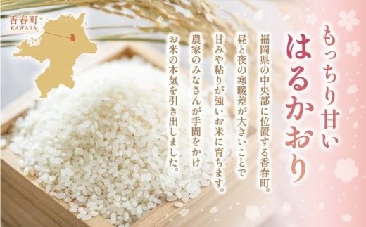 【1ヶ月毎6回定期便】 はるかおり 10kg 計60kg ／ 米 コメ お米 ライス ご飯 ごはん 飯 食品 精米 定期便 常温 福岡県 香春町