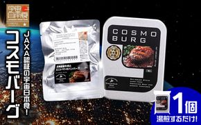 宇宙日本食認証！北海道産牛肉とミニトマトのハンバーグ1個_S006-0009