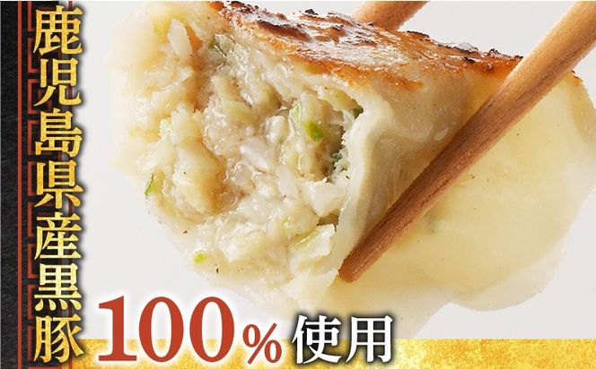 ＜選べる＞ 鹿児島黒豚使用 の 黒豚生餃子 36個 or 96個　K202-001