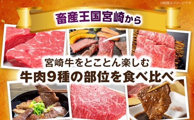 宮崎牛焼肉9種盛（約630g）_b0479_em