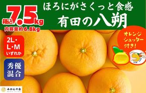 八朔 (はっさく) 玉ぞろい 箱込 7.5kg(内容量約 6.8kg) 2L L Mサイズのいずれか 秀品 優品 混合 和歌山県産  産地直送［おまけ付き］［みかんの会］AX232