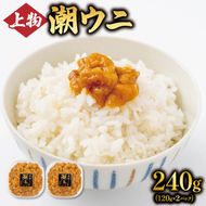 上物 潮ウニ 240g (120g×2) 冷凍 ミョウバン不使用 雲丹 寿司 汐うに 塩うに 海鮮 魚貝類 魚介類 キタムラサキウニ 小分け 塩水 天然 刺身 ウニ丼 ご飯 白米 おつまみ 三陸産 岩手県 大船渡市 [56500613_1]