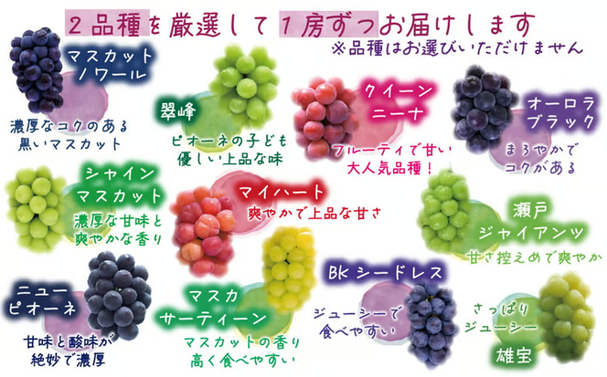 【2026年先行予約】 ぶどう 岡山 花笑み農園のぶどう【10月おすすめ 2種セット】1kg（2房） / ぶどう 詰め合わせ 食べ比べ ブドウ シャインマスカット ピオーネ クイーンニーナ オーロラブラック 瀬戸ジャイアンツ 翠峰 BKシードレス マスカサーティーン マスカットノワール 雄宝 マイハート 真庭市【hana020-02】