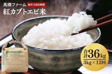 AQ023【全12回定期便】＜毎月＞髙橋ファームの紅カブトエビ米　白米3kg