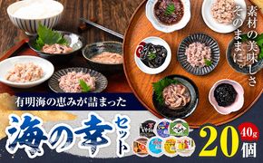 内野海産の海の幸セット 20個入り 《45日以内に出荷予定(土日祝除く)》あみ漬 いか 海苔 佃煮 塩辛 いかすみ---sn_cuchisaci20_45d_r7_17500_800g---