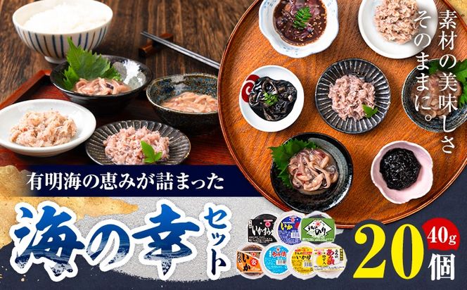 内野海産の海の幸セット 20個入り 《45日以内に出荷予定(土日祝除く)》あみ漬 いか 海苔 佃煮 塩辛 いかすみ---sn_cuchisaci20_45d_24_17500_800g---