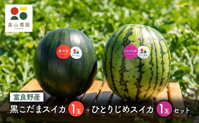 【2026年夏発送】（数量限定）黒こだまスイカ 1玉＋ひとりじめスイカ1玉セット 北海道 富良野産 すいか 西瓜   夏 フルーツ ふらの 甘い 糖度 大玉 ギフト (畠山農園）
