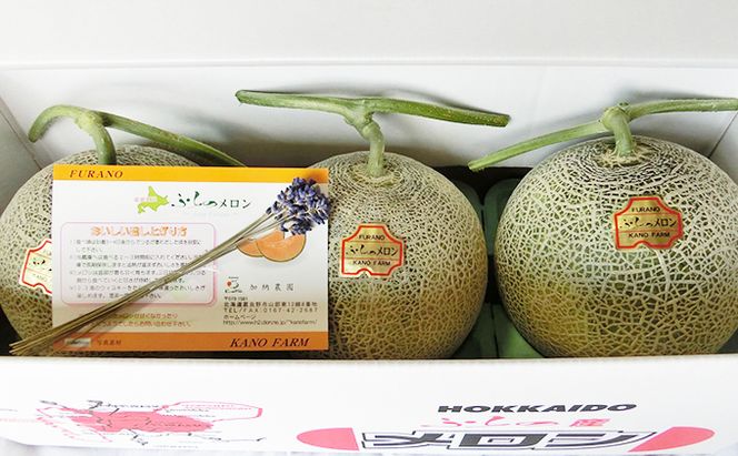 【2026年7月～発送】富良野産 赤肉 メロン ≪ラベンダー付≫ 3玉 計5.4kg以上 北海道 富良野市 (加納農園) メロン フルーツ 果物 新鮮 甘い 贈り物 ギフト 道産 ジューシー おやつ ふらの ブランド 夏 