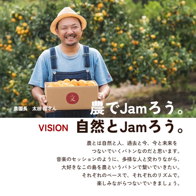 【 小豆島 】文次郎農園のドライフルーツ 3袋セット 柑橘 蜜柑 ミカン セミ ドライフルーツ 乾燥 ドライ 果物 軽食 おやつ デザート 香川 香川県 土庄 土庄町
