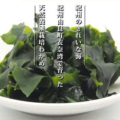 BB6056_紀州衣奈産 乾燥わかめ 150g×5パック (2026年産)