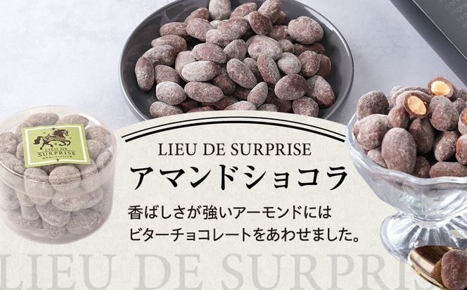 ［Pâtisserie LIEU DE SURPRISE］アマンドショコラ、ショコラ・マカデミア、オランジェット詰め合わせ 372013_HE001