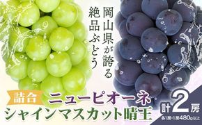 【2025年先行予約】詰合 ニューピオーネ（480ｇ以上）１房・シャインマスカット（晴王480ｇ以上）１房 株式会社山博(中本青果)《2025年8月下旬-10上旬頃出荷》岡山県 浅口市 ぶどう フルーツ ギフト 贈答用 旬 果物 国産 岡山県産 送料無料---124_c247_8g10j_23_21000_960g---