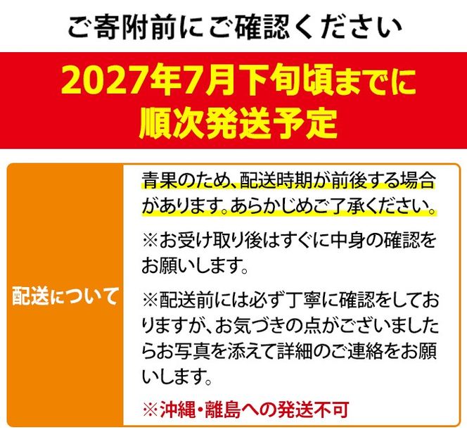 【0145942a】＜秀品・数量限定！＞南国鹿児島県産の太陽の恵み！完熟マンゴー(大玉1個・550g以上) 果物 フルーツ 果実 デザート 国産 冷蔵 【東串良物産館ルピノンの里】【0145912a】《先行予約受付中！2027年7月下旬頃までに発送》＜秀品・数量限定！＞南国鹿児島県産の太陽の恵み！完熟マンゴー(大玉1個・500g以上) 果物 フルーツ 果実 デザート 国産 冷蔵 【東串良物産館ルピノンの里】